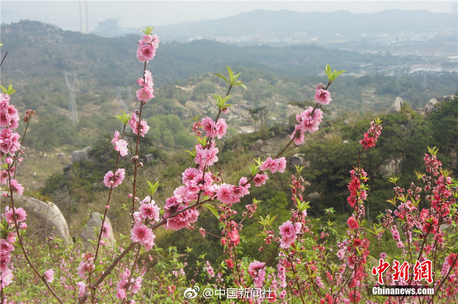 土超劲旅大巴遭遇车祸捷克国脚离世 前鲁能外援受伤_云电脑视频