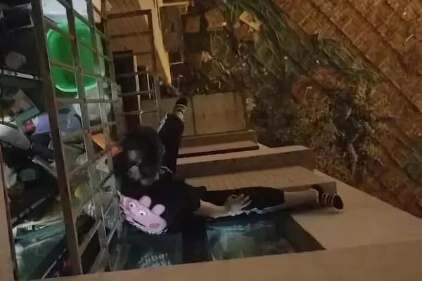 凤姐怼周立波一文不值、没文化！_9929企业专线