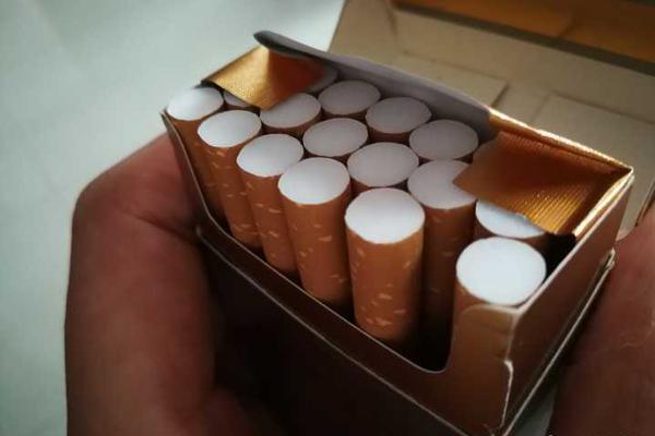 恒大返广州塔利斯卡独行 卡帅疲态尽显_挂机宝多核