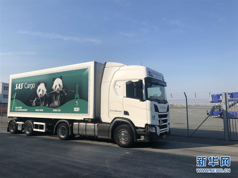 教科书式自救 女子取钱遭抢劫全程沉着说好的