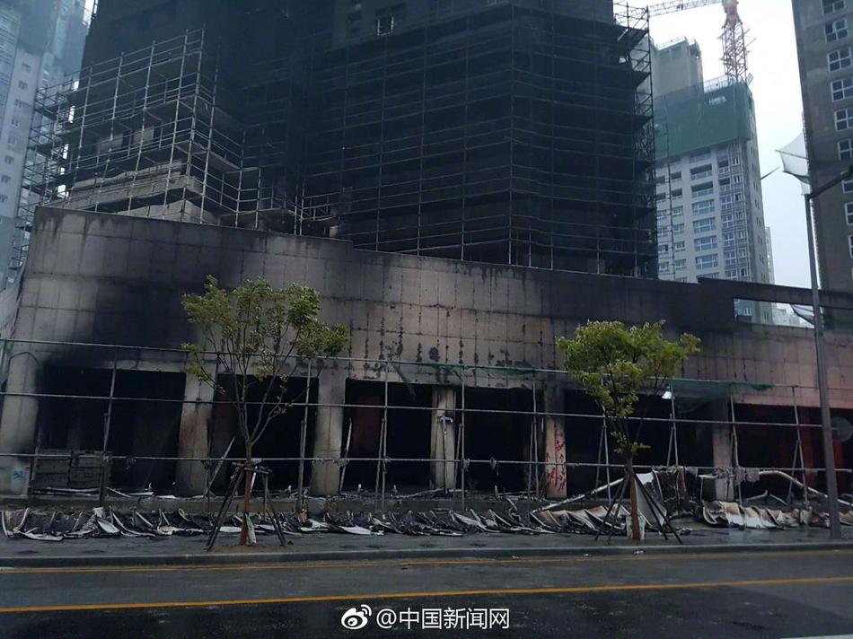 章子怡疑似怀二胎后首发文，与醒宝农场边摘边吃画面温馨_电信CN2服务器