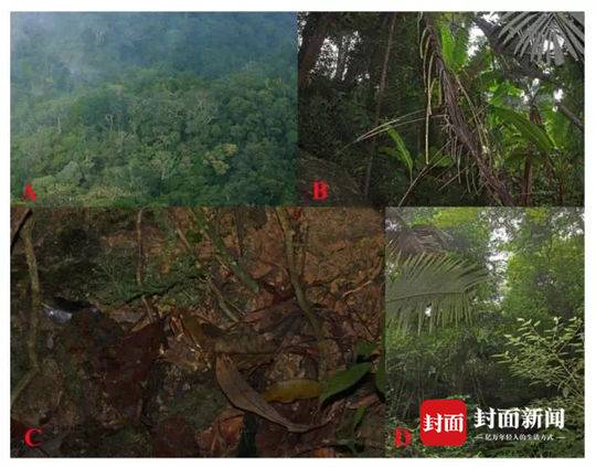 下属经常越级汇报怎么办？用三三二招数，打小人与抬自己一举两得_9929建站