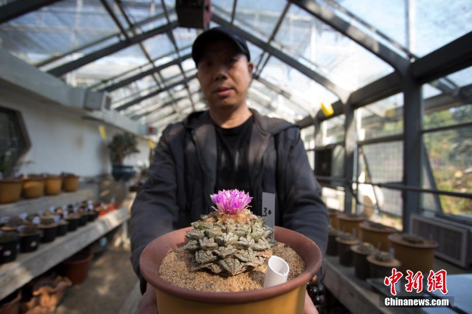 快讯!印尼总统佐科决定迁都,搬离爪哇岛_在线教育