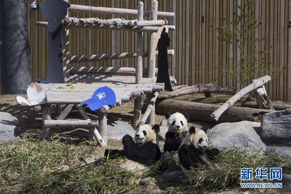 真全球首款折叠屏手机:柔宇柔派终于开卖_公司云电脑