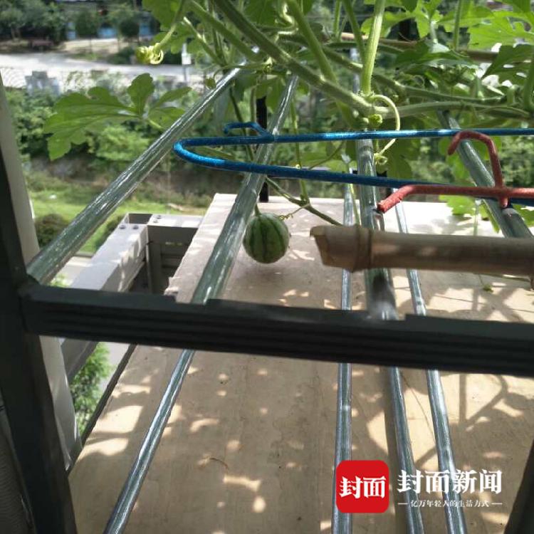 卡玛：毕滢的做法很糟糕_云服务器价格