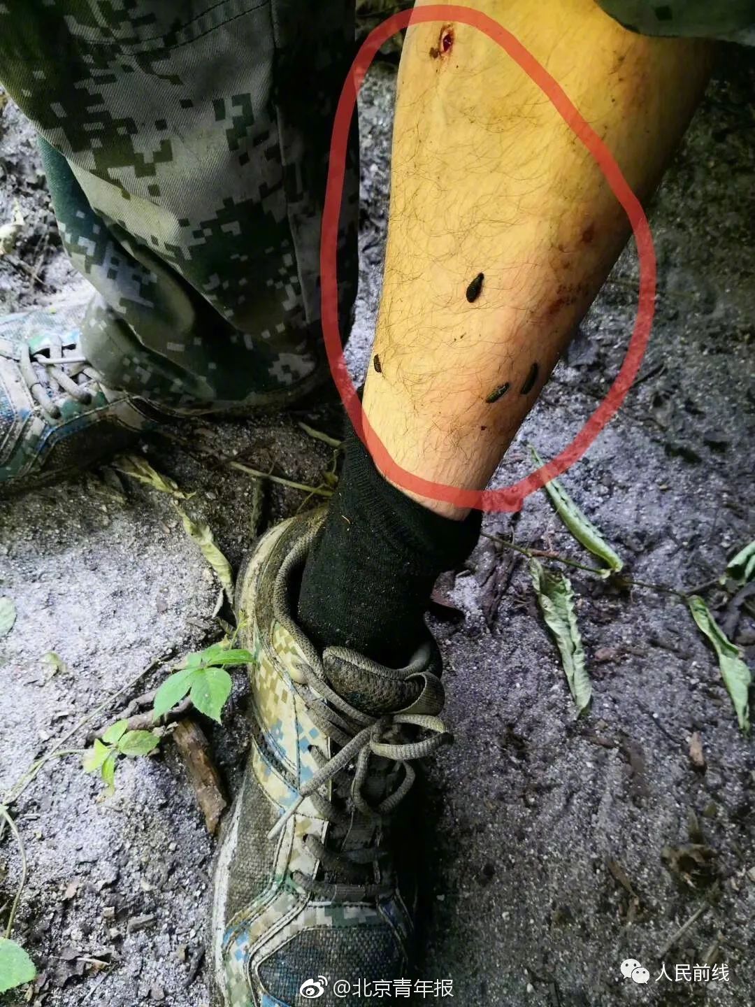 特种兵四年前救下蜂鸟 结下春天的约定_云桌面