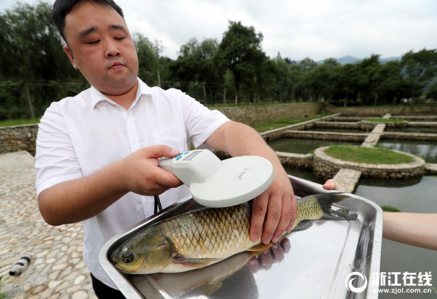 数读:总理记者会都在问什么?_云服务器5M带宽
