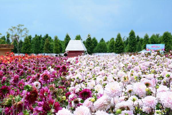 中俄“海上联合—2019”军事演习俄方参演舰艇抵达青岛_CN2 dedicated server