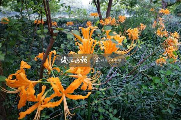 北京20名司机被终生禁驾，一半因肇事逃逸一半因酒驾