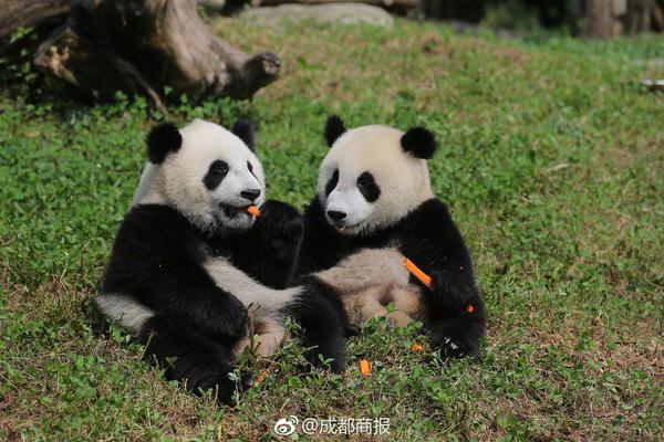华帝股份2018年营收60.95亿元 线下渠道收益同比下降_9929双ISP