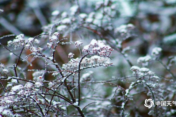进口车跟合资车 到底哪种质量更好？_大连云服务器