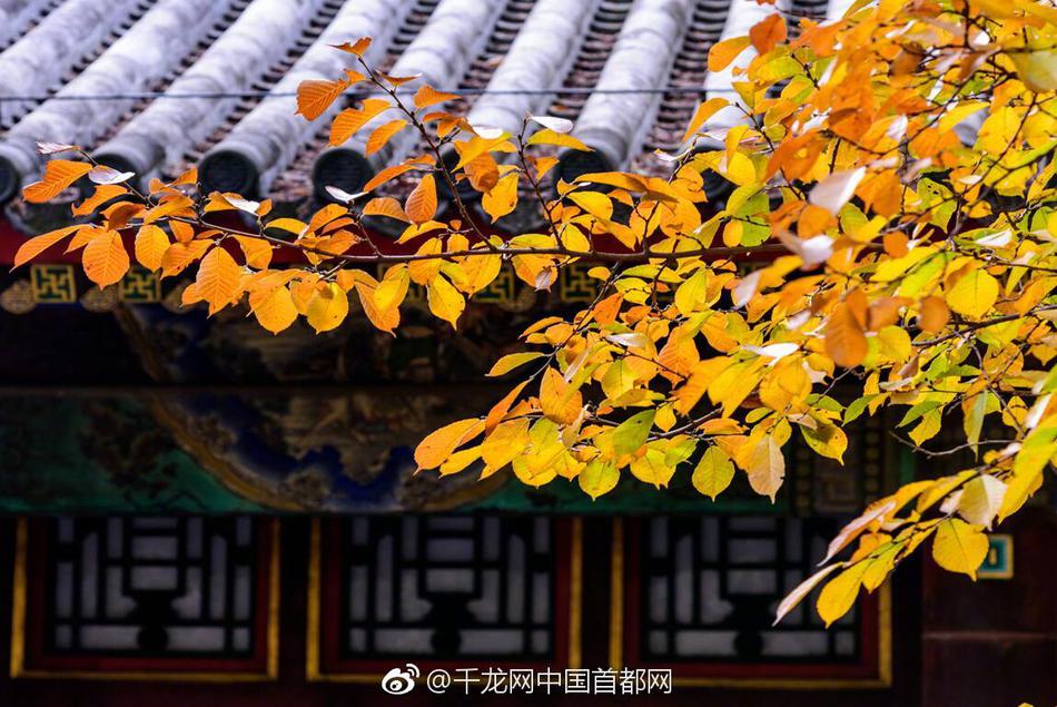韩春雨的“基因剪刀”又复活了？曾卷入舆论漩涡