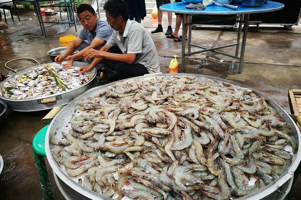 欧冠-萨拉赫传射 利物浦总比分6-1晋级_云电脑程序员