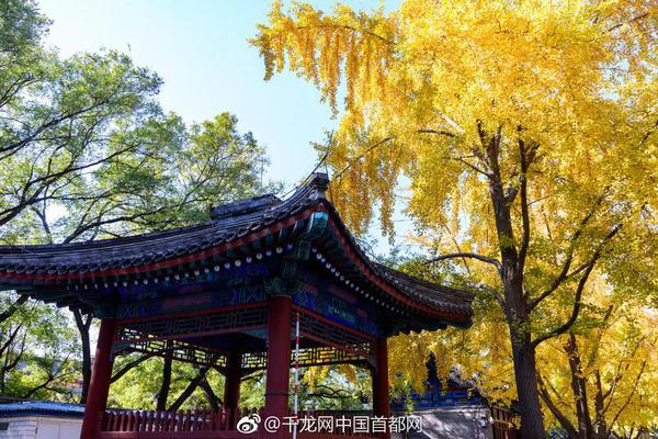 怕老婆是隋文帝一生的软肋_9929三网回程