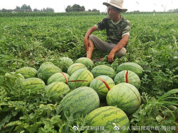 Excel做的好是怎样的体验