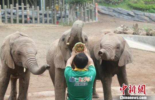 网页域名注册_挂机宝跑脚本