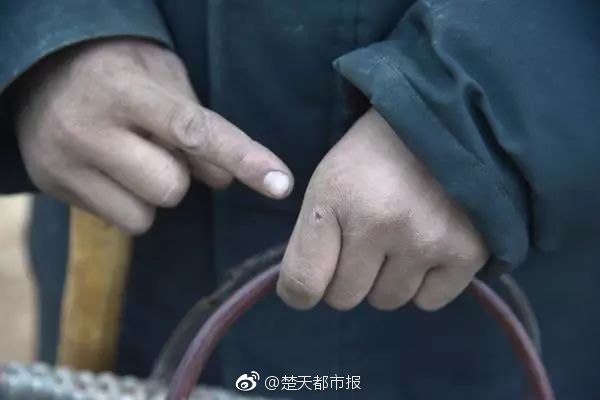 秦岭别墅拆了 它的支脉骊山又隐现别墅群_AS9929线路解析