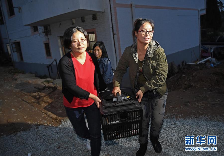 加强对广大青年的政治引领