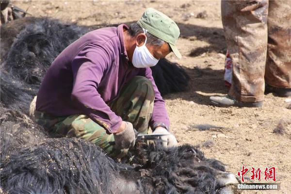 黄圣依：做家人的造型师是件开心的事_教育云服务器