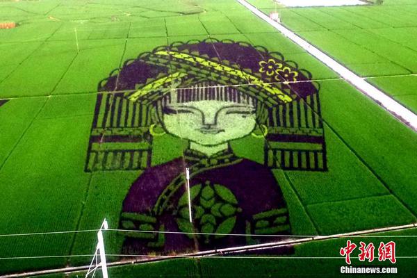 正确看待城市人口收缩,城区人口降低不代表城市活力下降_挂机宝做网站