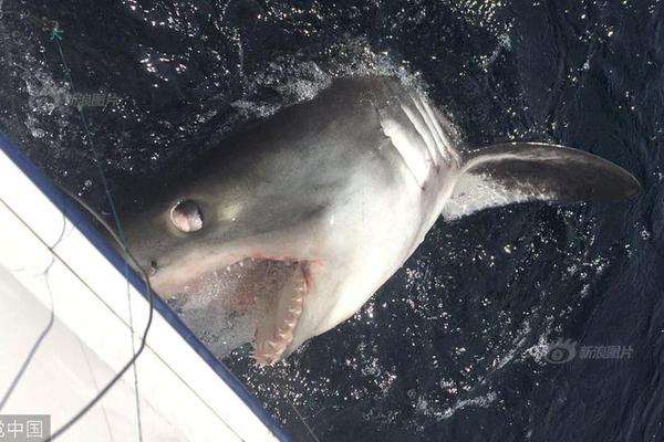 企业用那个邮箱好_挂机宝带宽