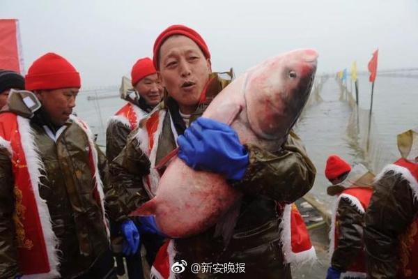 辽宁遭暴雨侵袭致城市内涝 紧急转移12万人