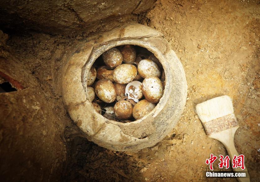 胜利案进入尾声警方申请拘捕令_1元挂机宝