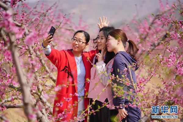 PPP到底是什么？浅谈PPP与其神奇的“祖师爷”_9929三网优化