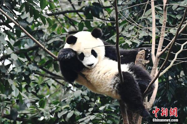 媒体:中国须拒绝美拉我核裁军 反而亟需提升核武规模_挂机宝远程桌面