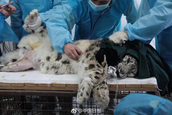最高法出台公司法新司法解释加强股东权益保护