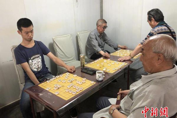 云南小朋友动物园体验饲养员工作_云服务器折扣