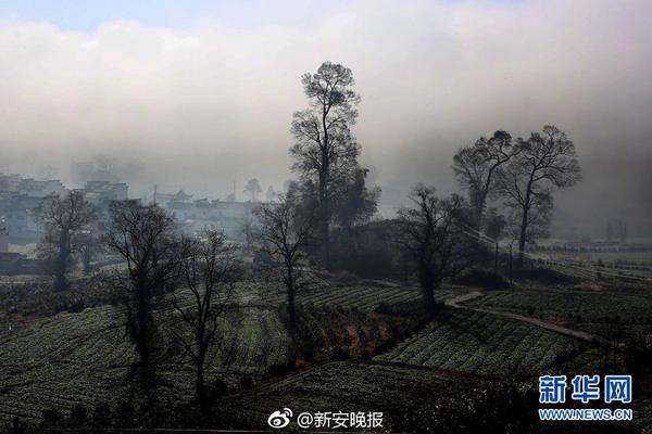 科创板基金最全投资指南