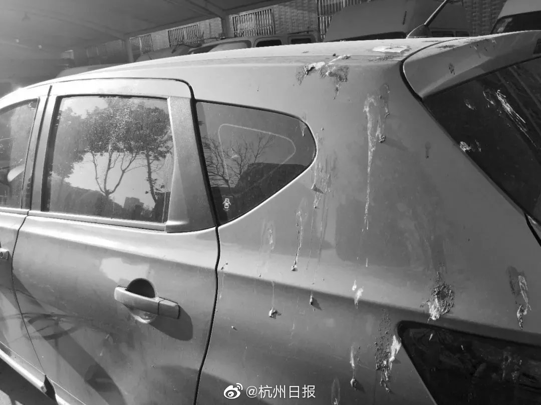 董藩：我不主张在收缩型城市搞振兴 是浪费资源_9929 VPS