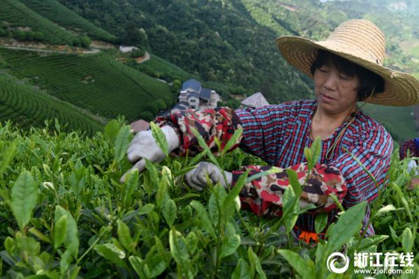看起来很优雅 奔驰全新C级正在纽北测试