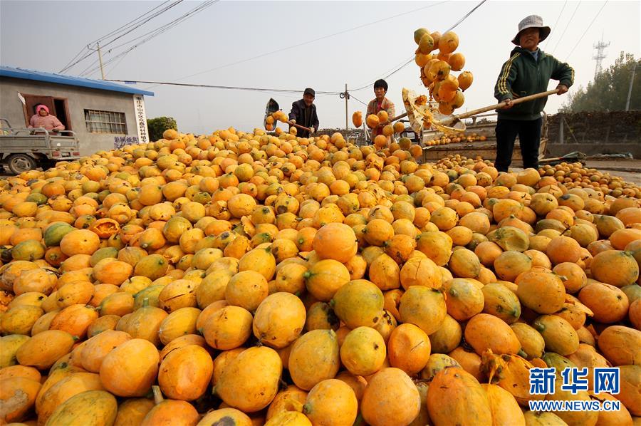 买到域名和云服务器之后怎么弄_云服务公司