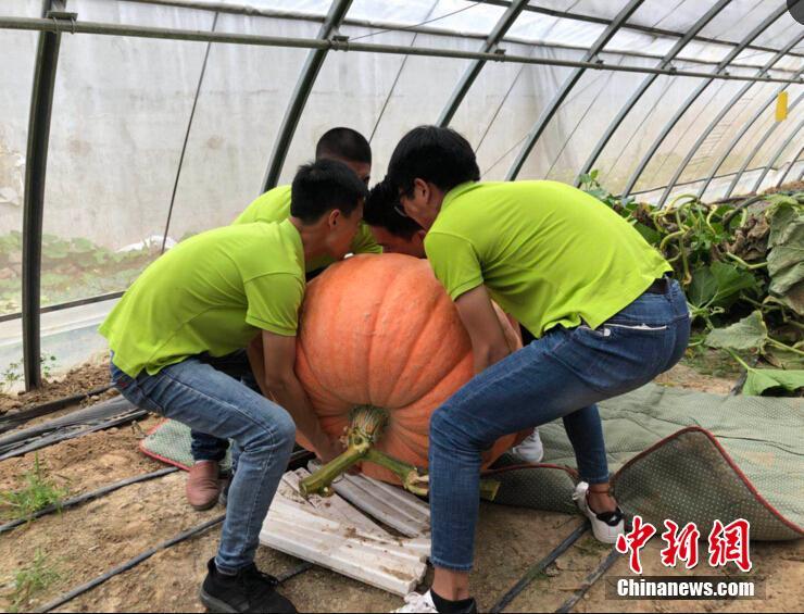 牛仔水洗到什么程度才时髦_CN2服务器配置推荐