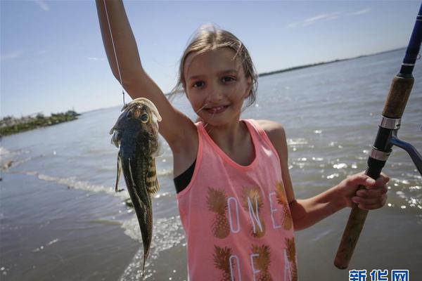 域名过期后，若被他人利用传播违法内容，应该如何处理？_联通精品网A网