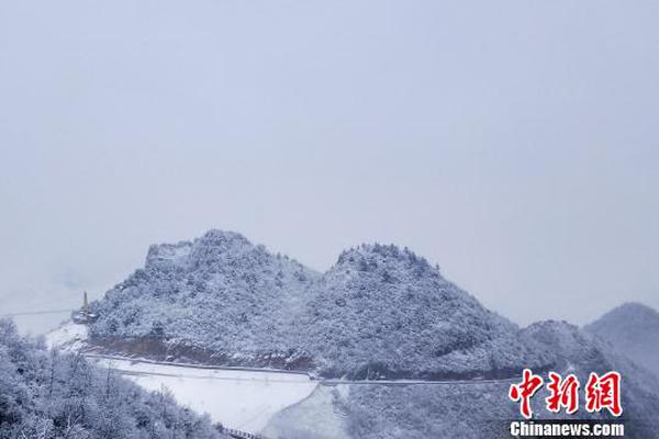 潘辰获新浪杯海外站亚军_云电脑安全办公