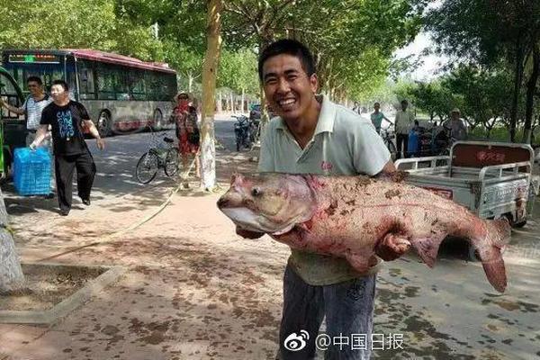 58岁余杭阿姨坐拥8套房，白天阿里当...