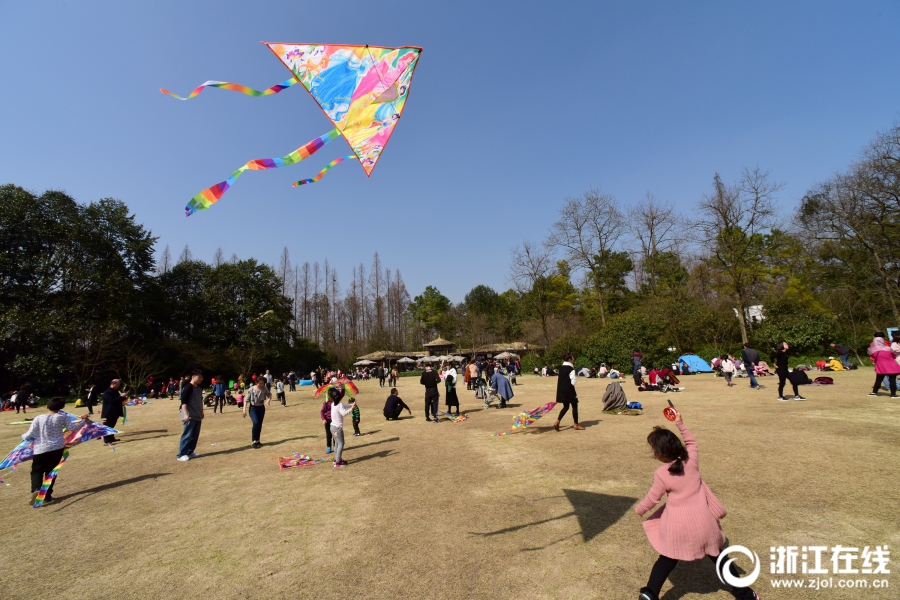 深圳9岁男童遭3只大狗追撵，狗主人全程淡定_远程办公