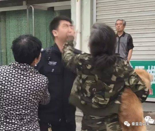 大象装上假肢,开心的像个几十吨孩子