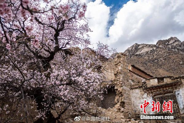 印度捷特航空因债务危机全面停飞