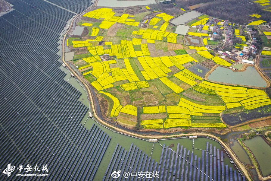 国六怪象:想买买不到不想买狂降