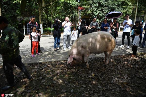 国六怪象:想买买不到不想买狂降_企业云电脑