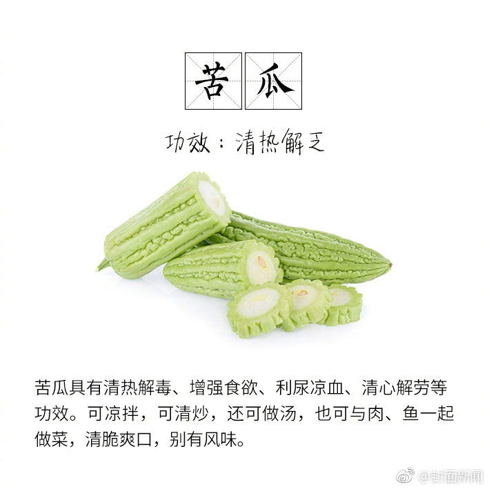 湛江开启南国乡村之旅_便宜挂机宝