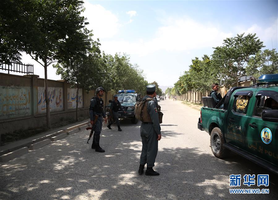 爹回来啦!爹回来啦!_挂机宝脚本挂机