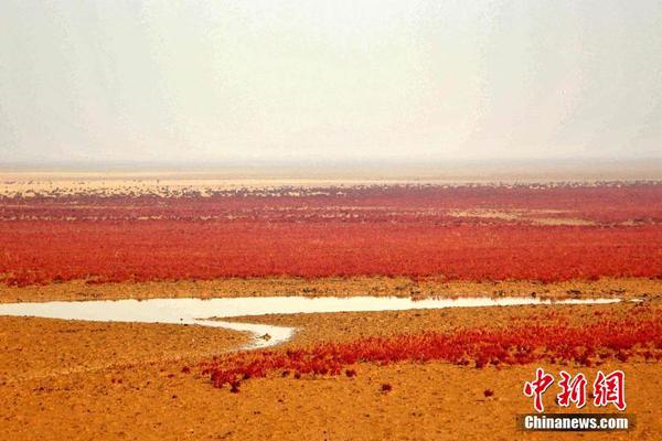 服务器不备案如何_CN2 APP服务器