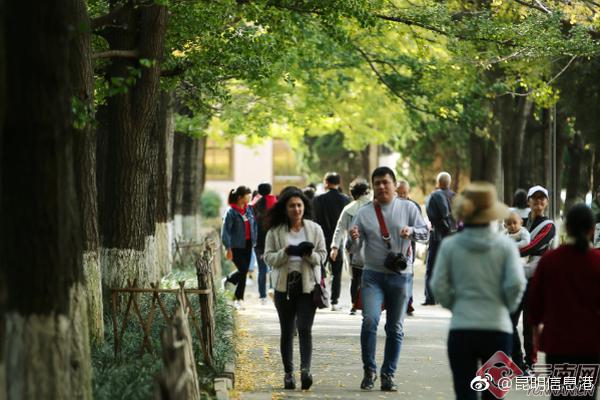 .XYZ域名是否需要备案_挂机宝零售