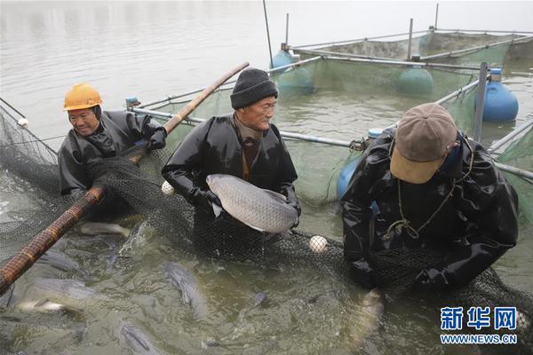 哈登赛后谈论判罚：我只是想得到一个公平的机会_AS9929云服务器