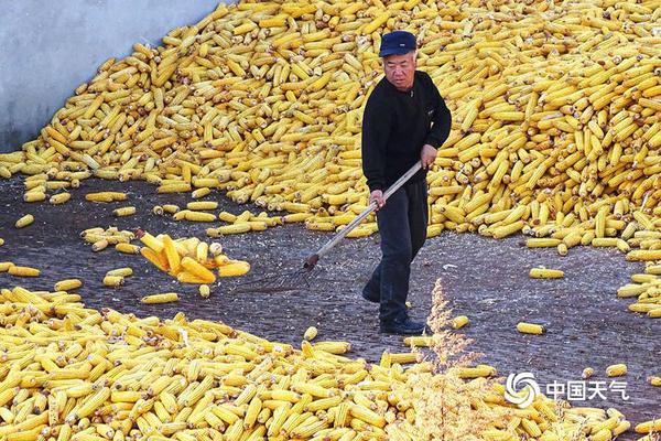 比尔·盖茨:慈善基金会将于离世后20年关闭_CN2 GIA线路优势